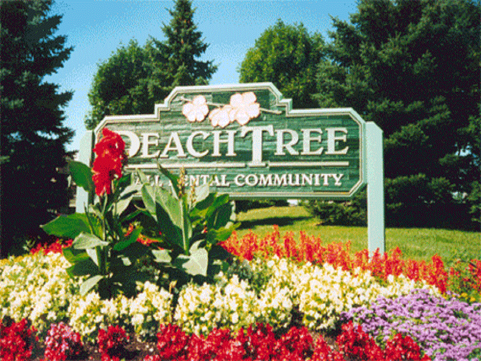1 Bedroom floor plan at Peachtree Apartments, Clinton Township, MI 48036